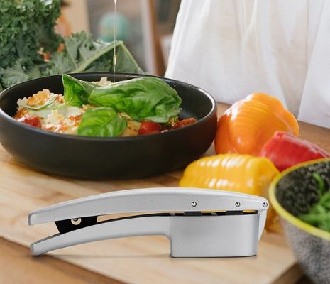 Gratis monster 2 in 1 Handmatige knoflookpers Miner Keuken Knoflook haker Slicer Draagbare knoflookmaler Crusher Masher Maker Groente gereedschappen