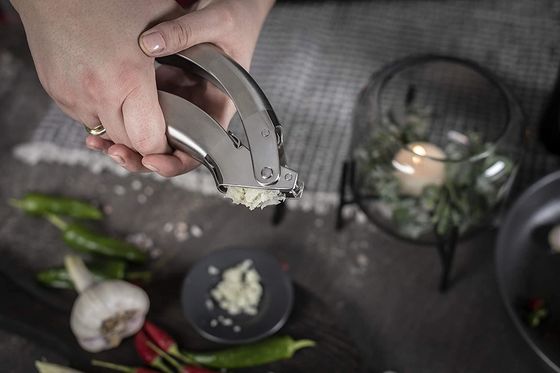 Reasonable Roestvrij staal Knoflook Crush Ginger Grater Keuken gadgets Multi Keuken Grater