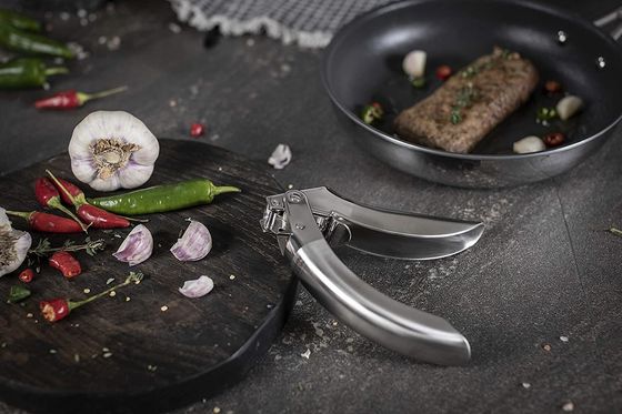 Multi Kitchen Grater Warm roestvrij staal knoflook pers voor duurzame keuken gadgets