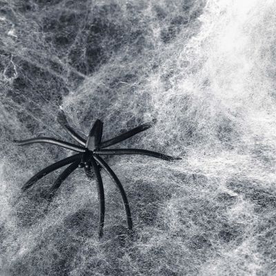 Aanpasbaar Stretchy Halloween Spider Web Terrible Scene Requisiten voor Haunted House