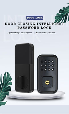 Beveilig uw deur met batterij-aangedreven digitaal slim slot en TTlock Tuya WiFi App