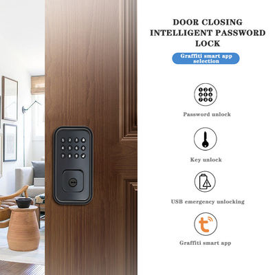 Beveilig uw deur met batterij-aangedreven digitaal slim slot en TTlock Tuya WiFi App