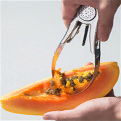 Kookgereedschap van roestvrij staal voor duurzaam graven van fruit en het verwijderen van mangozaad
